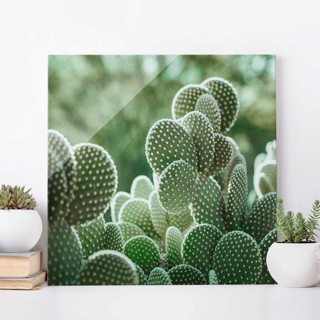 Lavagna magnetica vetro Cactus