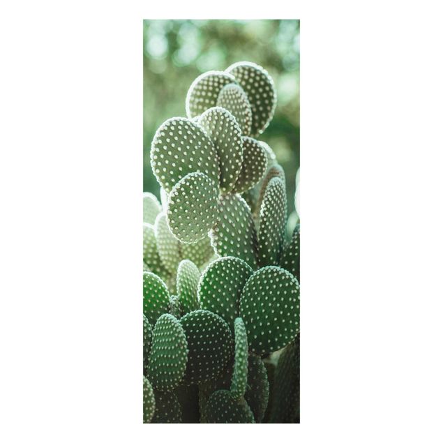 Quadro in vetro - Cactus