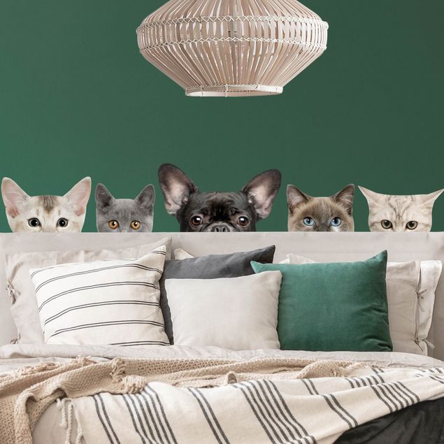 Adesivo murale - Gatti con sguardo per cani