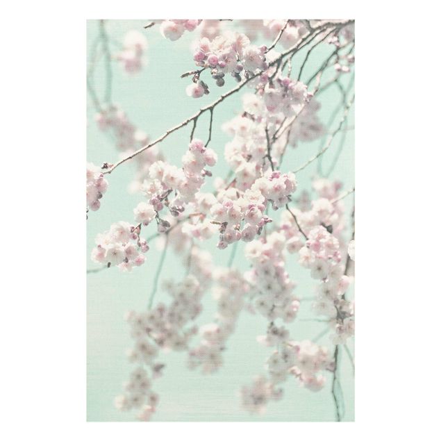 Quadro in vetro - Danza di fiori di ciliegio su struttura di lino