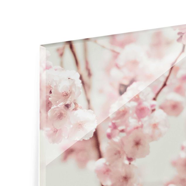 Quadro in vetro - Danza di fiori di ciliegio