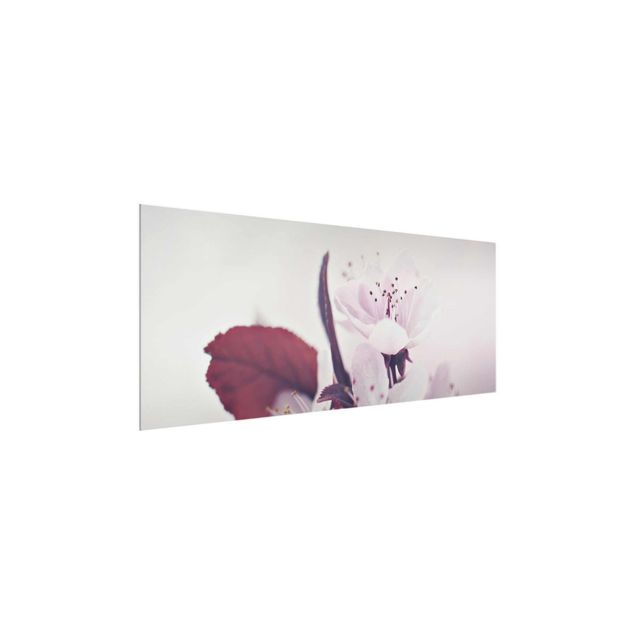 Quadro in vetro - Ramo di fiori di ciliegio in rosa antico