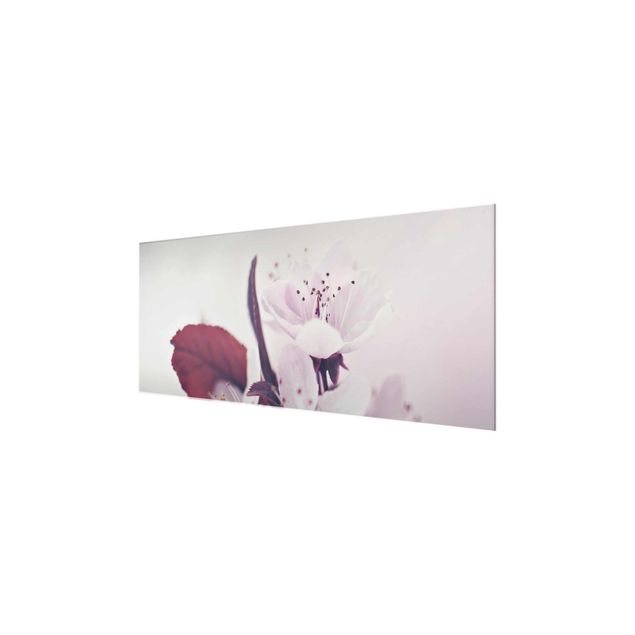 Quadro in vetro - Ramo di fiori di ciliegio in rosa antico