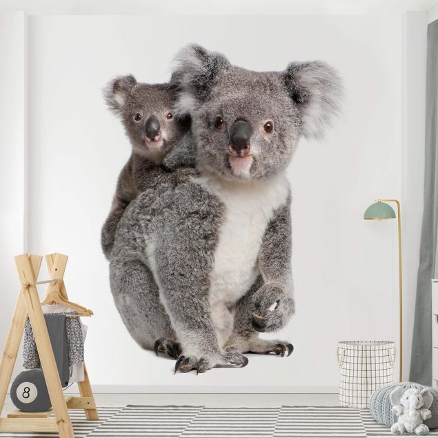 Carta da parati per bambini animali Orsi Koala