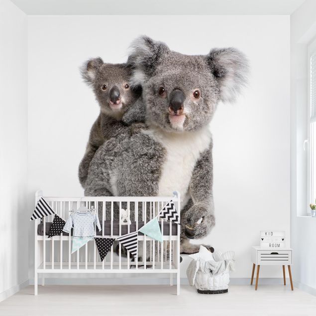 Carta da parati - Koala Bears