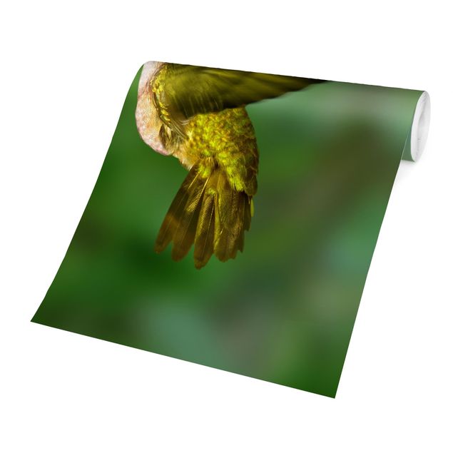 Carta da parati - Hummingbird And Blossom