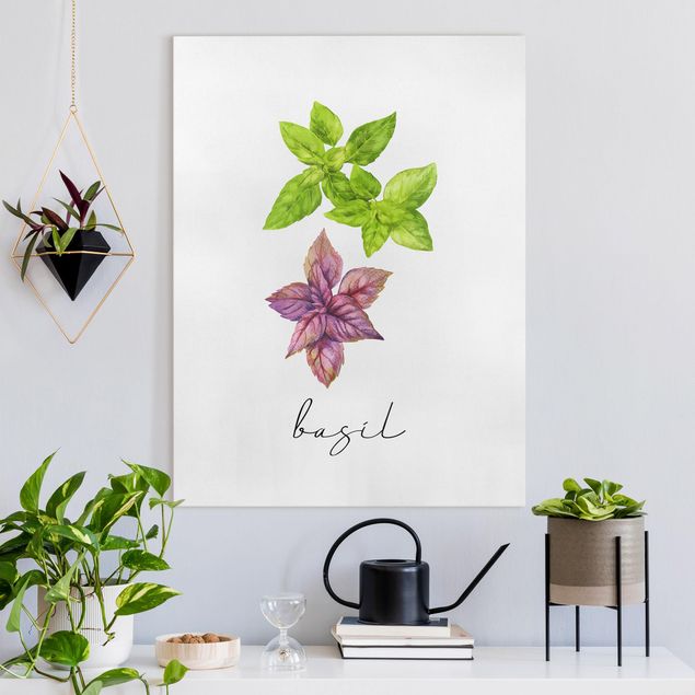 Stampe su tela fiori Illustrazione di erbe aromatiche Basilico
