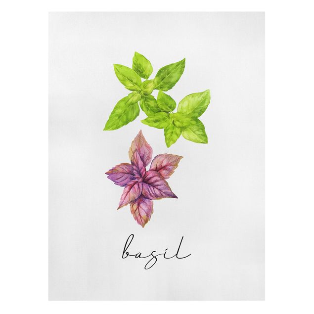 Quadro su tela - Illustrazione di erbe aromatiche basilico