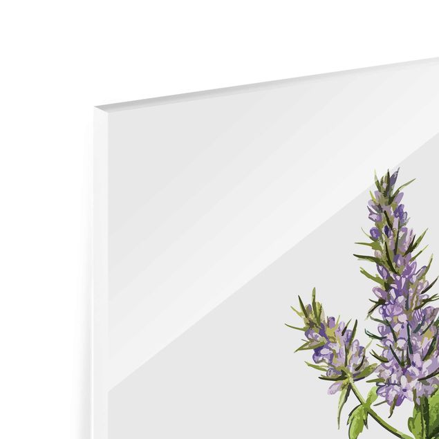 Quadro in vetro - Illustrazione di erbe aromatiche menta piperita