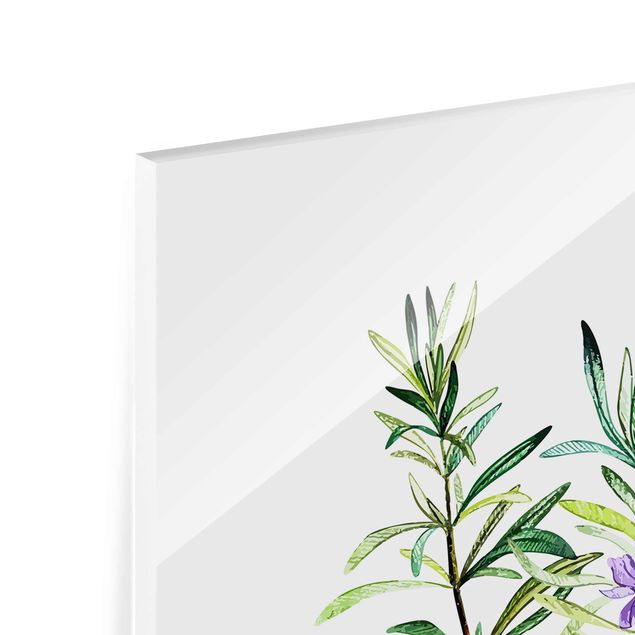 Quadro in vetro - Illustrazione di erbe aromatiche rosmarino