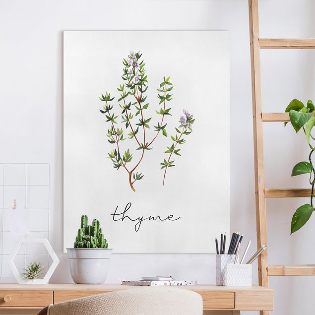 Quadri su tela fiori Illustrazione di erbe aromatiche Timo