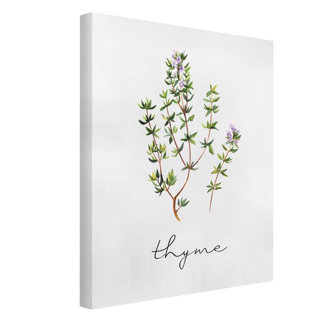 Quadro su tela - Illustrazione di erbe aromatiche timo