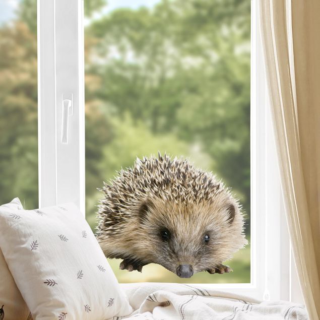 Pellicola per vetri per salone No.156 Little Hedgehog