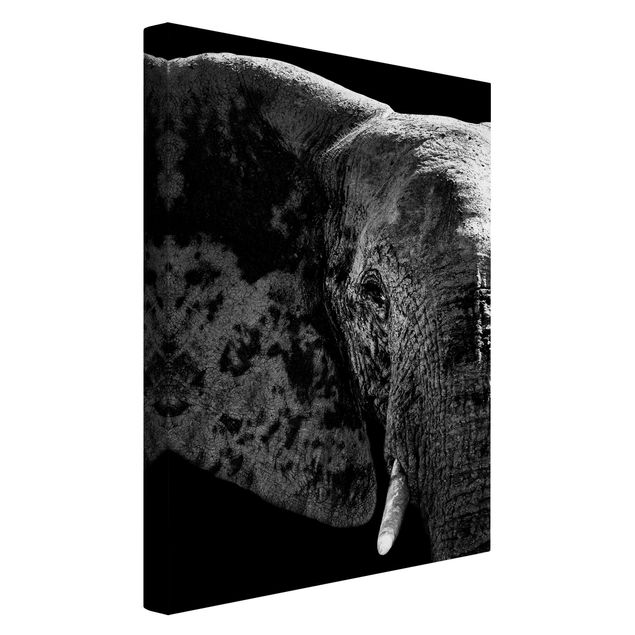 Stampe su tela animali Elefante africano in bianco e nero