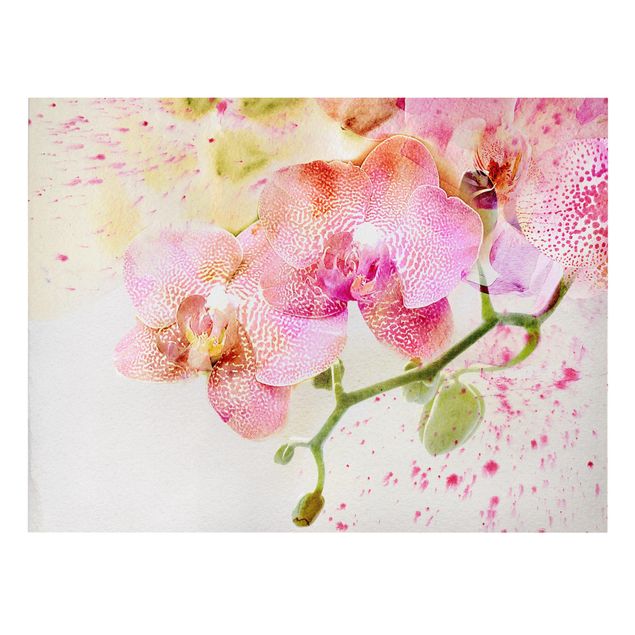 Stampa su tela Fiori ad acquerello Orchidee