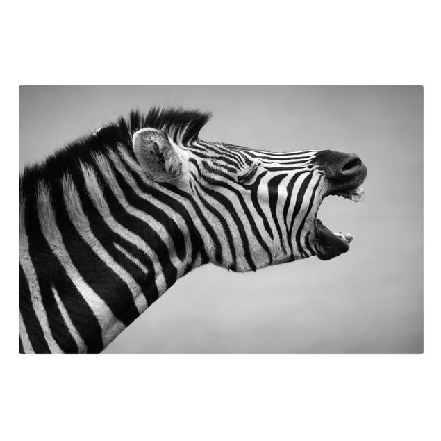 Quadri moderni per soggiorno Zebra ruggente ll