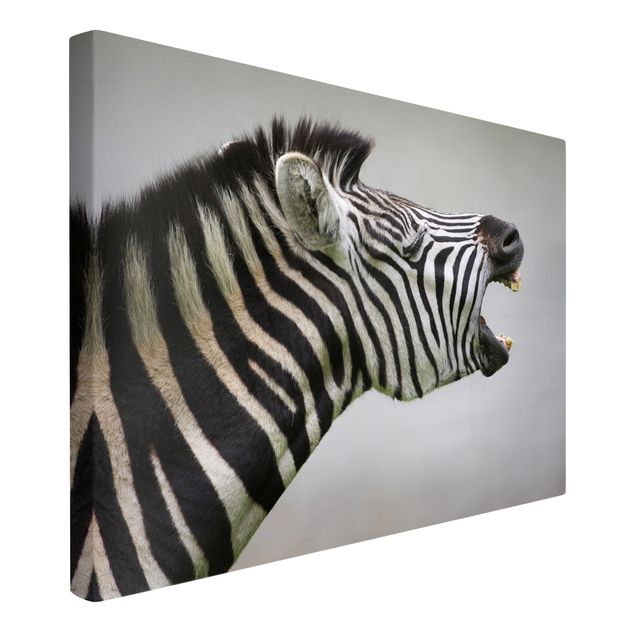 Quadri moderni per soggiorno Zebra ruggente