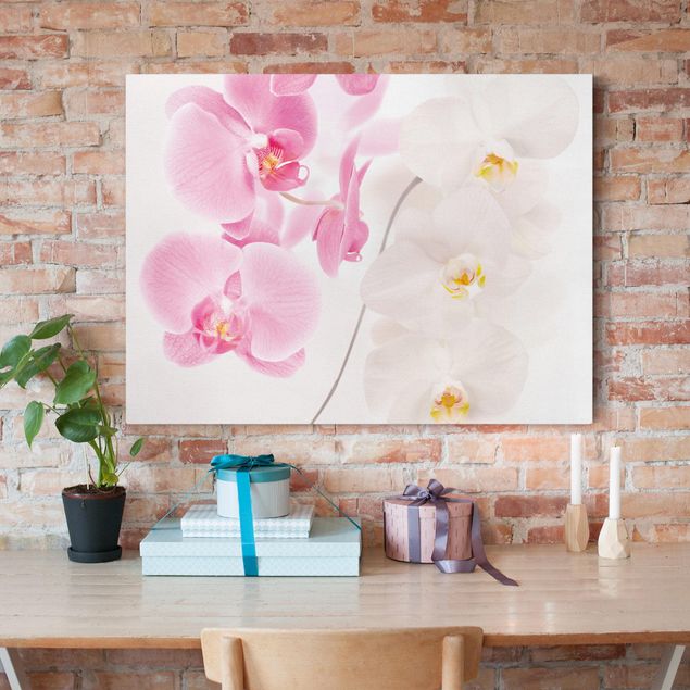 Quadro su tela fiori Orchidee delicate