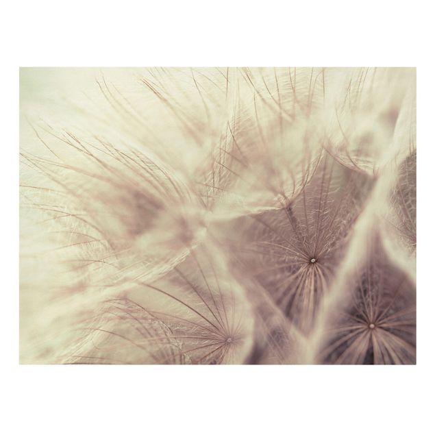 Stampa su tela - Detailed Dandelion Macro Shot With Vintage Blur Effect - Orizzontale 4:3