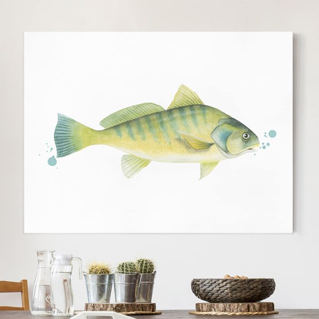 quadri con animali Colore Cattura - Pesce persico