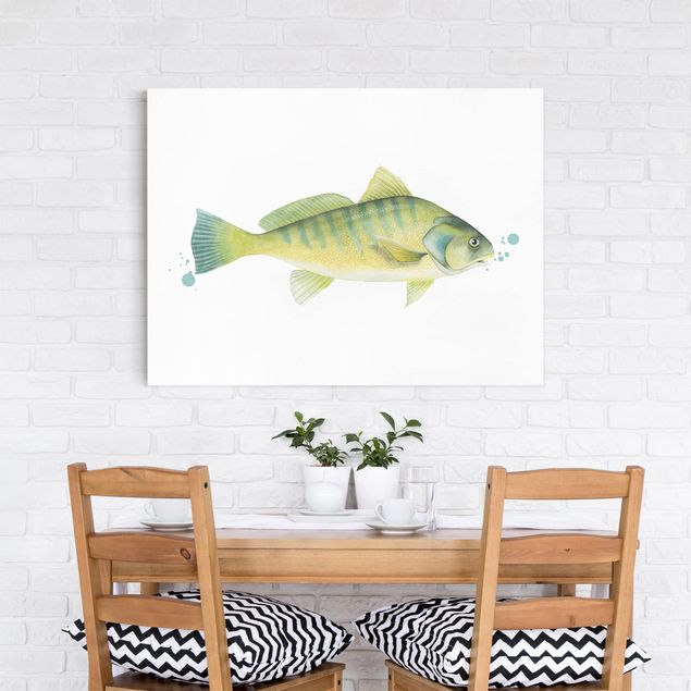 Riproduzioni su tela Colore Cattura - Pesce persico