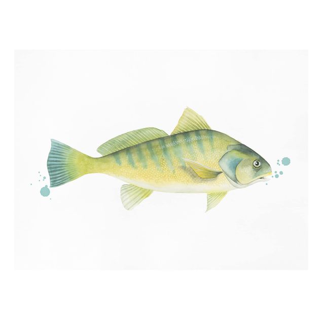 Stampa su tela Colore Cattura - Pesce persico