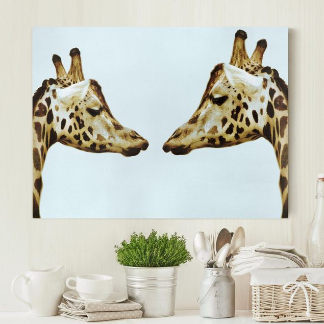 Quadri con giraffe Giraffe innamorate
