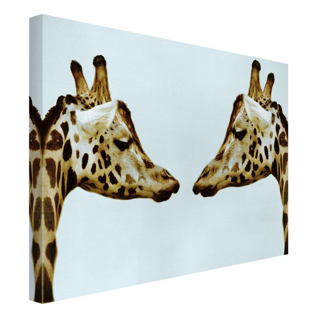 Quadri moderni per soggiorno Giraffe innamorate