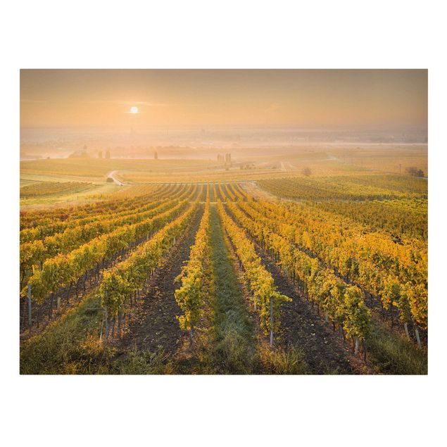 Stampa su tela - Autumnal Vineyards Near Vienna - Orizzontale 4:3
