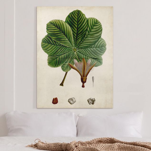 Riproduzione quadri su tela Poster con piante caducifoglie II