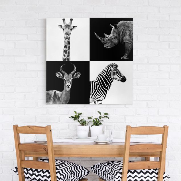Tela zebra Quartetto di safari
