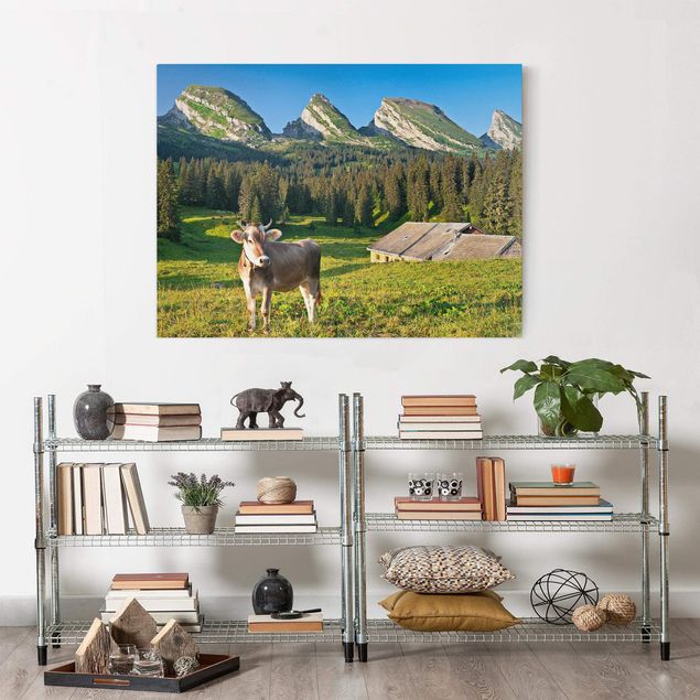 quadri con animali Prato alpino svizzero con mucca