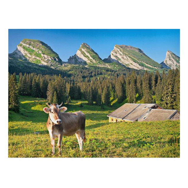 Stampe su tela paesaggio Prato alpino svizzero con mucca