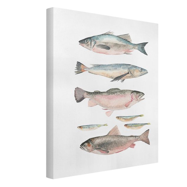 Stampe su tela animali Sette pesci in acquerello I