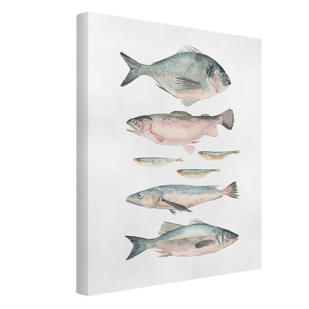 Quadri su tela animali Sette pesci in acquerello II