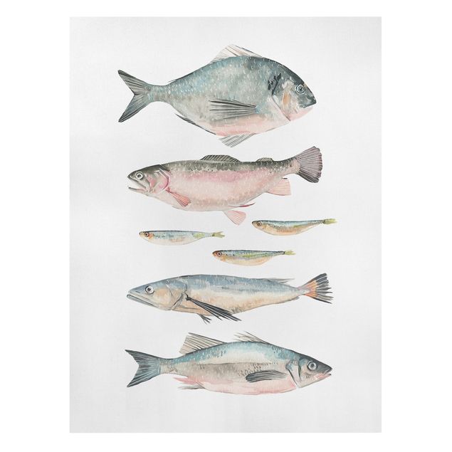 Stampe su tela Sette pesci in acquerello II