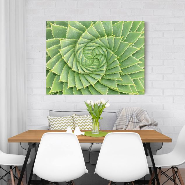 Quadri con disegni Aloe a spirale