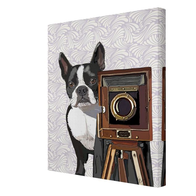 Stampe su tela Fotografo di animali selvatici Terrier