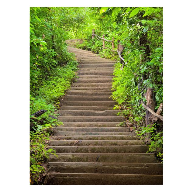 Stampa su tela - Stair Climb In The Woods - Verticale 3:4