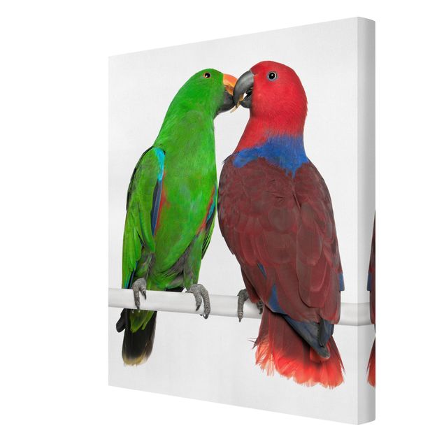Stampa su tela - Parrots In Love - Verticale 3:4
