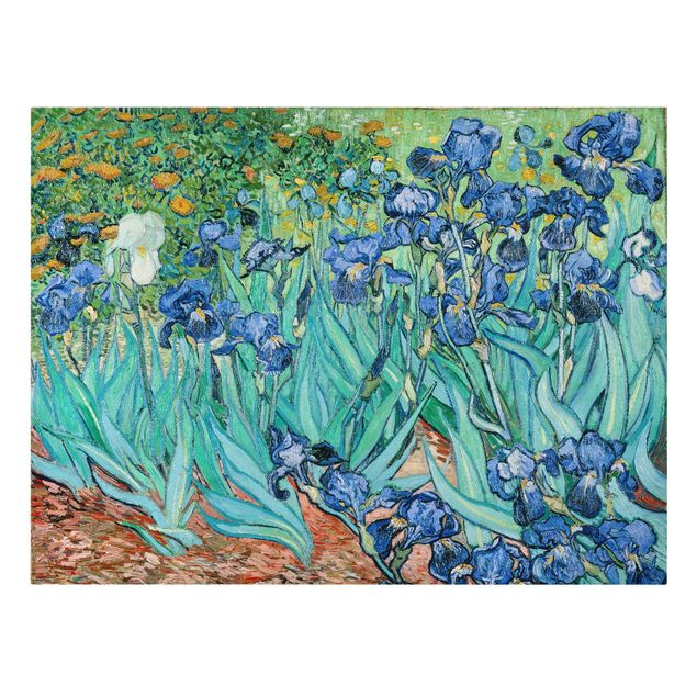 Stampa su tela Vincent Van Gogh - Iris