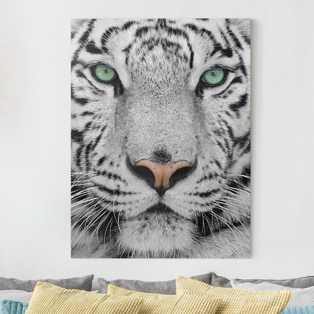 quadri con animali Tigre bianca