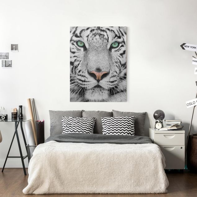 Tela leoni Tigre bianca