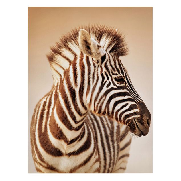 Stampa su tela Ritratto di piccola zebra