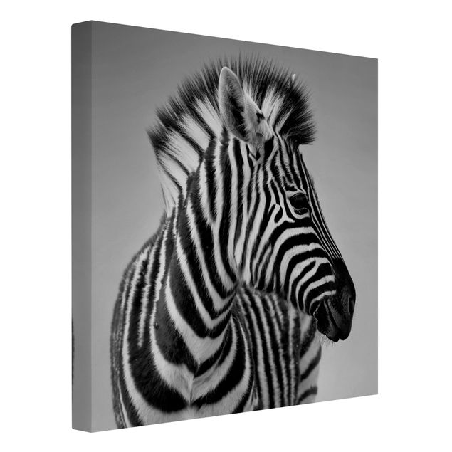 Stampe su tela animali Ritratto di piccola zebra II