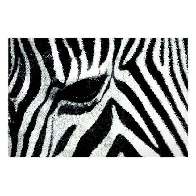 Quadri moderni per soggiorno Zebra Crossing