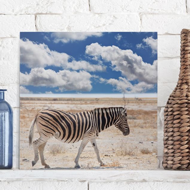 quadri con animali Zebra nella savana