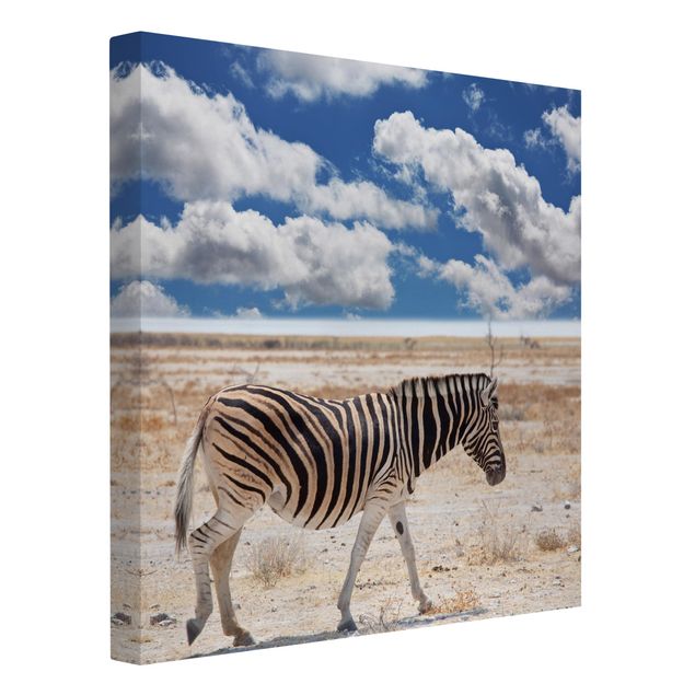 Stampe su tela paesaggio Zebra nella savana