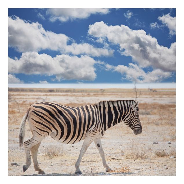 Quadro su tela animali Zebra nella savana