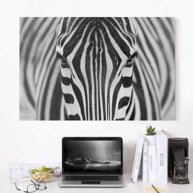 quadri con animali Sguardo da zebra